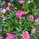 영덕 스테이 이미지