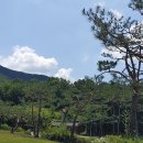 하회마을 종합안내소 이미지