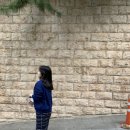 맨투맨컷트 - 서구 문화로61길 4 | 맨투맨컷트