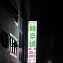 오븐더도어 | [일상기록] 장배추단 일정 모음