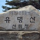 양평 유명산 산행 후기, 산나물 채취와 패러글라이딩 명소까지 즐기는 힐링 코스