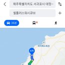 셀플러스워시큐브