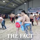 임실군 종합경기장 이미지