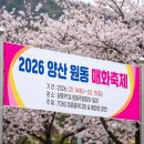 원동주유소 Daum카페