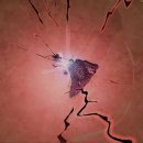 신세계 PC 이미지