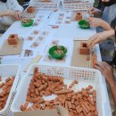 대구부수성비 이미지