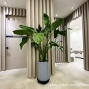 태전튼튼정형외과의원 이미지