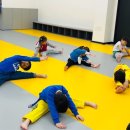 리틀 키즈 태권도장 이미지