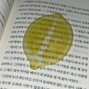 문학을 표현해보자 | 2025년 독서 연말결산