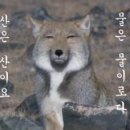구구 이미지