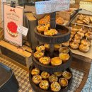 우아퍼피 이미지