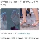 로시드 이미지