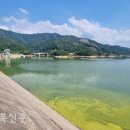 초록빛 태양광발전소 이미지