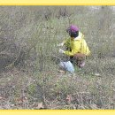 학산서원터 이미지