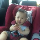 (주)동해보양온천컨벤션호텔 수영장 이미지