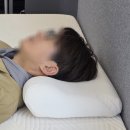 밀레니엄세탁 | 템퍼 기능성 베개 추천 에르고 플러스[밀레니엄] 사용 후기