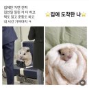 벌써 12월이라니🥶❄️