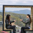 스튜디오 홍시 스포츠경향