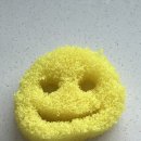 이글스크럽 이미지