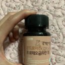 루나에덴