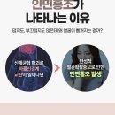 (주)홍조 네이버블로그