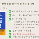 수학 1등급 로드맵(2) 이미지