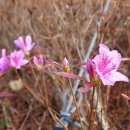 향동초등학교 이미지