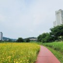 북부두름길 이미지