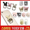 송아지 PC 이미지