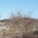 목인농장 이미지