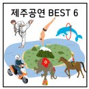 아랑 태권도 | 제주도 공연 추천 BEST 6 (말,코끼리,돌고래,서커스,태권도,다이빙)