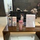 채널플러스의원