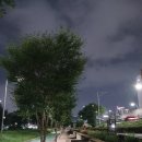 요즘 난리 난 맨발 걷기 유튜브 영상 요약! 효과와 부작용 딱 정리해 드림
