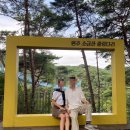 [원주 소금산 그랜드밸리] 출렁다리, 울렁다리 후기 및 에스컬레이터 케이블카 정보