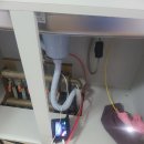 광적성우헤스티아 이미지