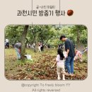 03.시민복지센터(행정) | 2025년 과천 시민 밤 줍기 행사 다녀온 후기