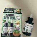 소나무기획 | 올리브영 수분앰플 내돈내산 라운드랩 소나무 진정 시카 앰플 후기