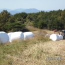 장수원목장 이미지