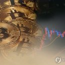 서서히 - 제주시 동광로16길 14 | 서서히