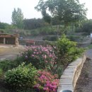 우포마을민박 이미지