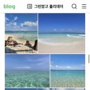 그린망고 홀리데이 이미지