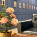 에이스타 골프 트랙맨 아카데미 이미지