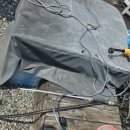 애견동반 멍멍아노올자 이미지