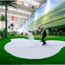 인 스크린골프존 이미지