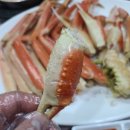 기장싱싱대게 이미지