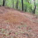 안말목장 이미지