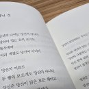 아닌 것 / ​에린 핸슨 이미지