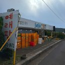 창천감귤농장