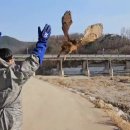 경북야생동물구조관리센터 이미지