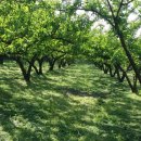 성구농장 이미지